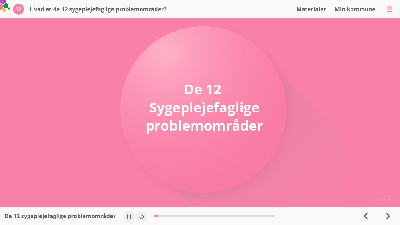 De 12 sygeplejefaglige problemstillinger